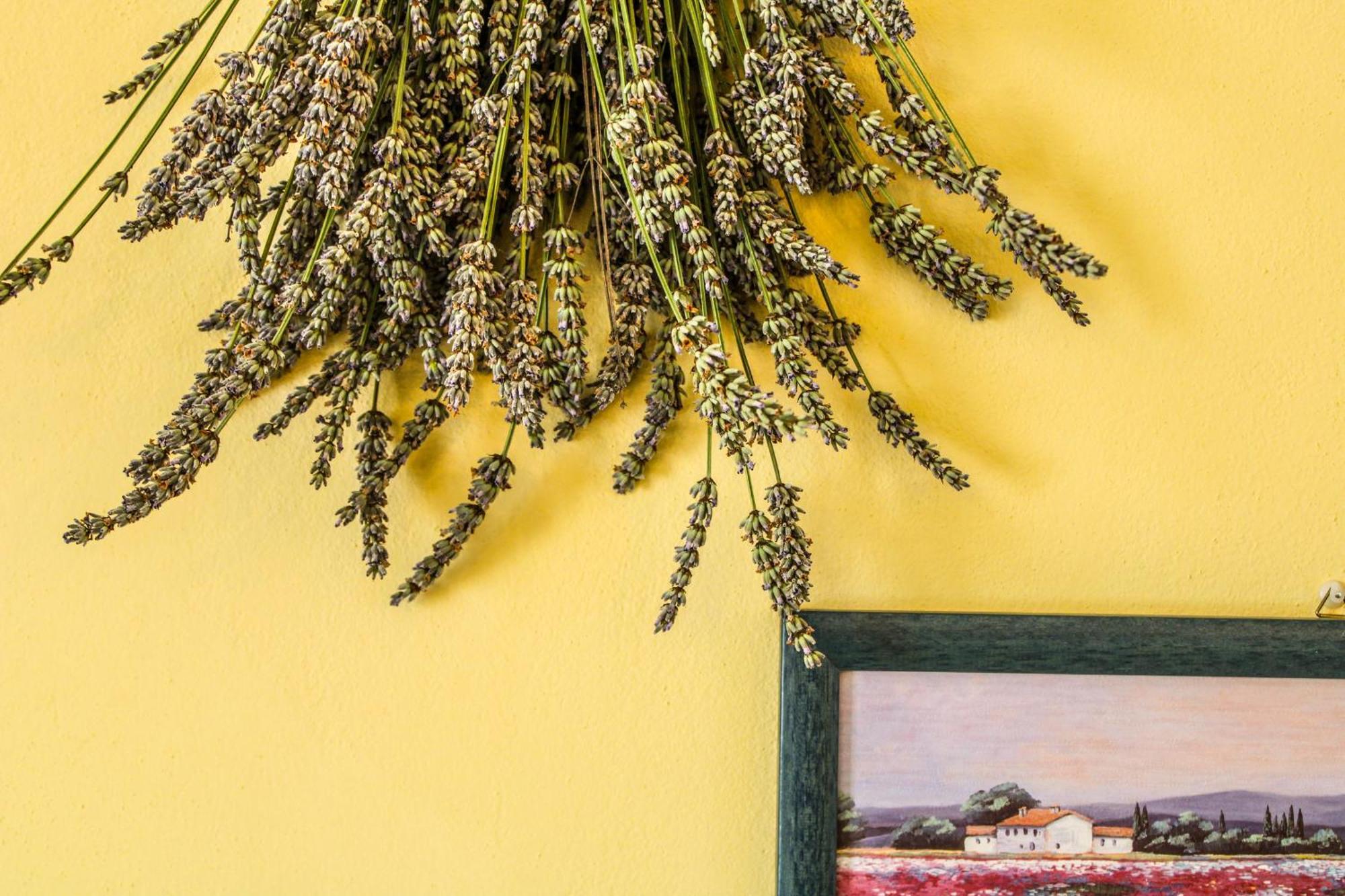 Dandelion Farm stay Citta della Pieve